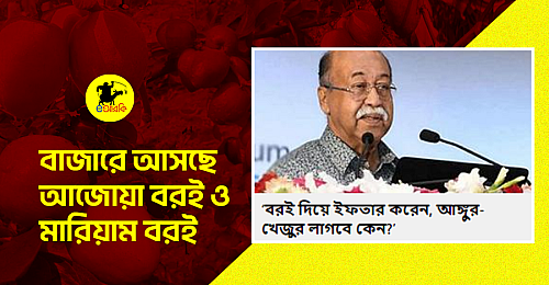 429617242_1880439179041906_1412317769296665160_n