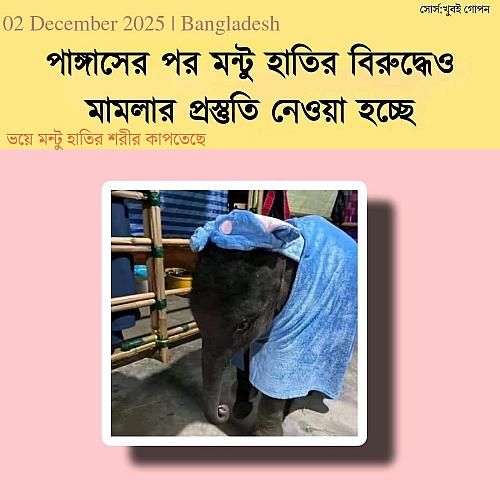 WhatsApp Image 2025-12-02 at 15.40.01_49a51310