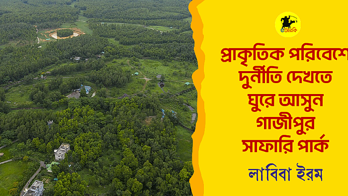 প্রাকৃতিক পরিবেশে দুর্নীতি দেখতে ঘুরে আসুন গাজীপুর সাফারি পার্ক