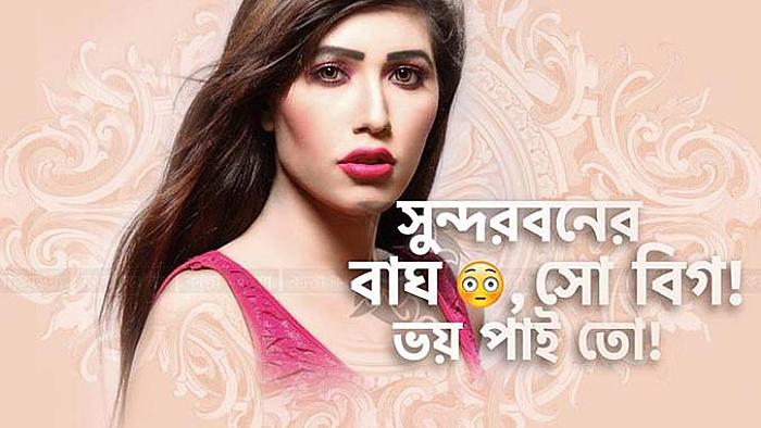 রামপাল ইস্যুতে মুহাম্মদ ইউনুস, কেকা ফেরদৌসী, নায়লা নাইমসহ অন্যরা যা বললেন