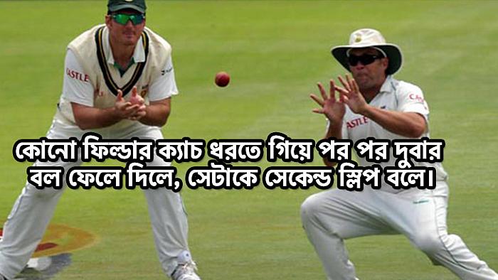 ক্রিকেট আততায়ীদের গল্প