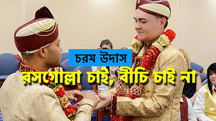 রসগোল্লা চাই, বীচি চাই না