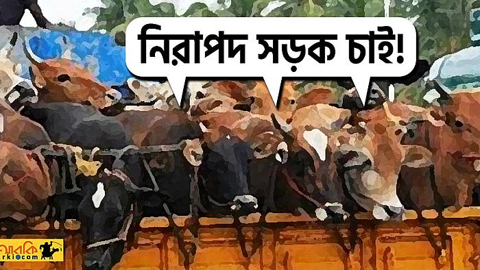সড়কের নিরাপত্তা নিয়ে চিন্তিত গরু-ছাগলরা