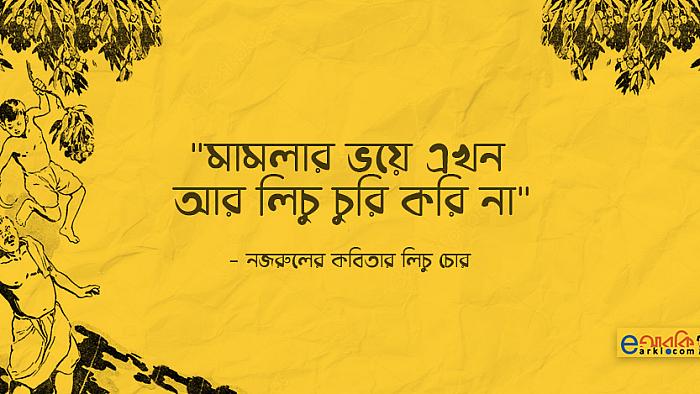 মামলার ভয়ে এখন আর লিচু চুরি করি না : একান্ত সাক্ষাৎকারে নজরুলের কবিতার লিচু চোর