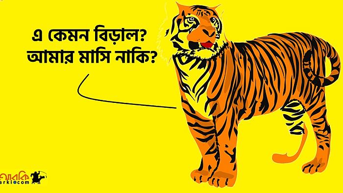 বাংলাদেশের বিড়াল যেভাবে পৃথিবীর অন্য সব বিড়ালকে হারিয়ে দিলো