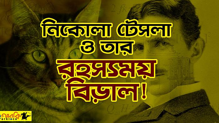 নিকোলা টেসলার বেড়ালের গা থেকে বেরোতো রহস্যময় আলোর আভা!