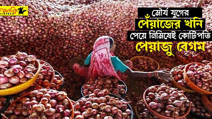 পুকুর খুঁড়তে গিয়ে মৌর্য যুগের পেঁয়াজের খনি পেয়ে কোটিপতি পেয়াজু বেগম