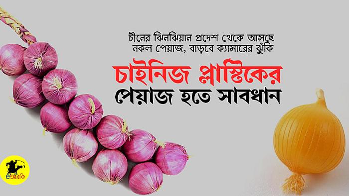 ক্রেতারা সাবধান, বাজারে আসছে চাইনিজ প্লাস্টিকের পেঁয়াজ!