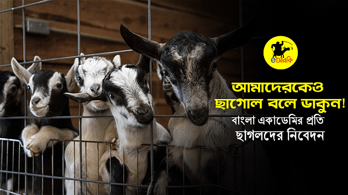 আমাদেরকেও 'ছাগোল' বলে ডাকুন: বাংলা একাডেমির প্রতি ছাগলদের নিবেদন