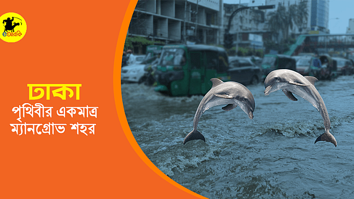 পৃথিবীর একমাত্র 'ম্যানগ্রোভ শহর' হিসেবে স্বীকৃতি পাচ্ছে ঢাকা