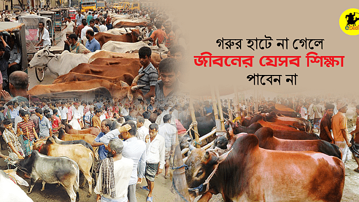 গরুর হাটে না গেলে জীবনের যে ১২টি গুরুত্বপূর্ণ শিক্ষা আপনি পাবেন না