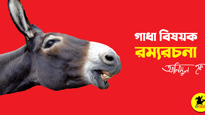 গাধা বিষয়ে রম্যরচনা