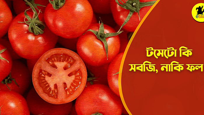 টমেটো কি আসলে সবজি, নাকি ফল?
