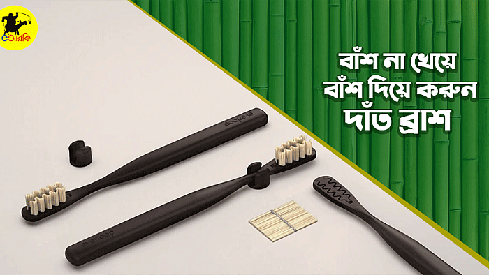 বাঁশ থেকে বানানো পরিবেশবান্ধব 'এভারলুপ টুথব্রাশ'
