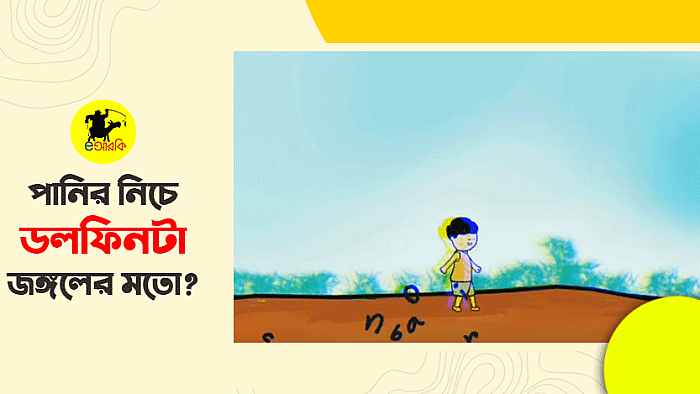 পানির নিচে ডলফিনটা কি জঙ্গলের মতো? ইয়ামিনের গান যখন সবার মুখে মুখে