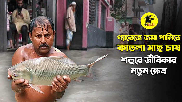 মিরপুরে গ্যারেজে জমা পানিতে কাতলা মাছ চাষ: শহুরে জীবিকার নতুন ক্ষেত্র