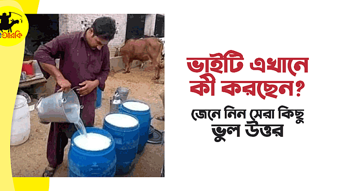 ভাইটি এখানে কী করছেন? জেনে নিন ১০টি সেরা 'ভুল উত্তর'