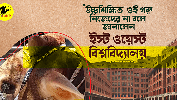 উচ্চশিক্ষিত ওই গরু নিজেদের না বলে জানালো ইস্ট ওয়েস্ট বিশ্ববিদ্যালয়