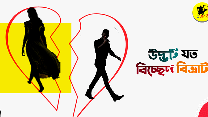 দেশ-বিদেশের দম্পতিদের অদ্ভূত সব বিচ্ছেদ-বিভ্রাট