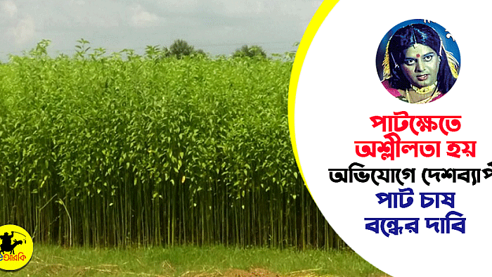 'পাটক্ষেতে অশ্লীলতা হয়' অভিযোগে দেশব্যাপী পাট চাষ বন্ধের দাবি