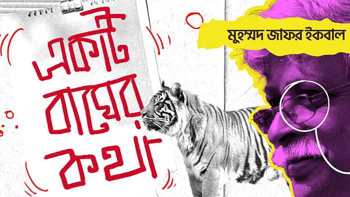একটি বাঘের কথা