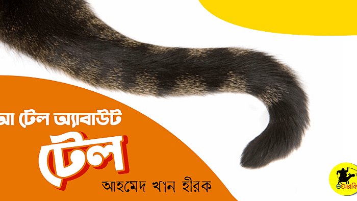 আ টেল অ্যাবাউট টেল