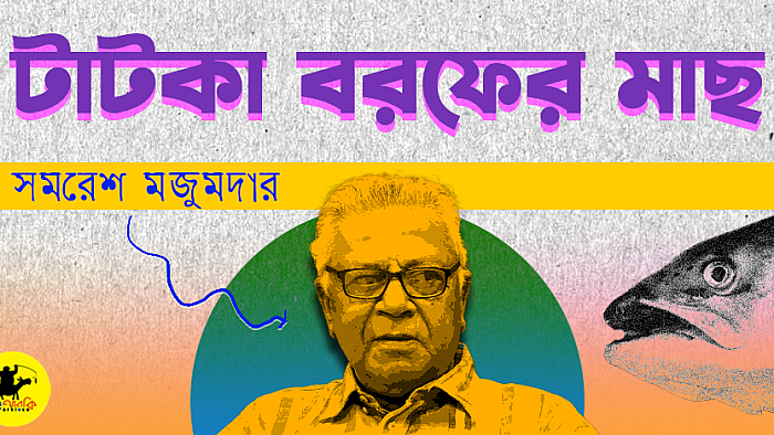 টাটকা বরফের মাছ