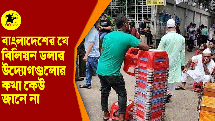 বাংলাদেশের যে বিলিয়ন ডলার উদ্যোগগুলোর কথা কেউ জানে না