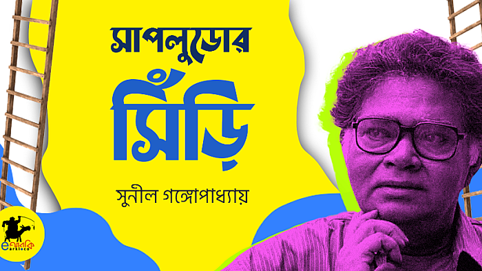 সাপলুডোর সিঁড়ি