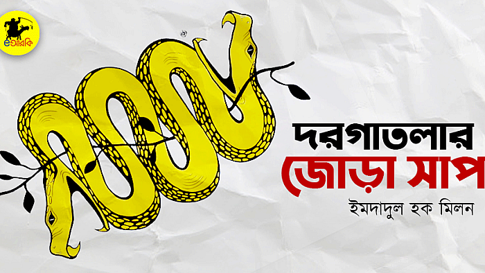 দরগাতলার জোড়া সাপ