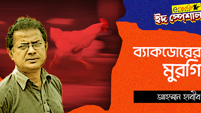 ব্যাকডোরের মুরগি