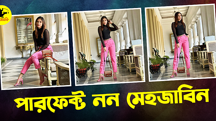 পারফেক্ট নন মেহজাবিন