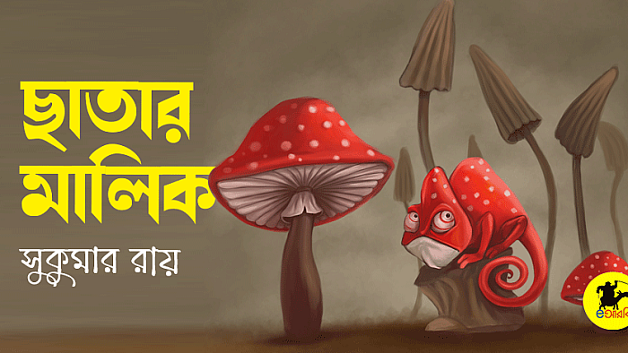 ছাতার মালিক