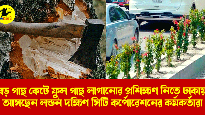 বড় গাছ কেটে ফুল গাছ লাগানোর প্রশিক্ষণ নিতে ঢাকায় আসছেন লন্ডন দক্ষিণ সিটি কর্পোরেশনের কর্মকর্তারা