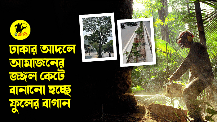 ঢাকার আদলে আমাজনের জঙ্গল কেটে বানানো হচ্ছে ফুলের বাগান