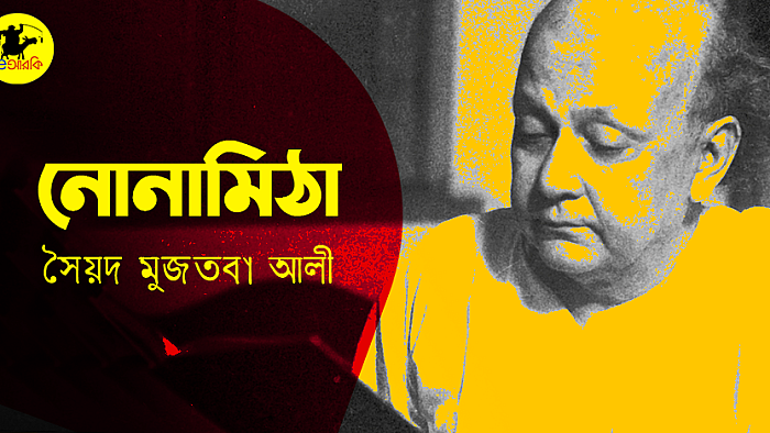 নোনামিঠা