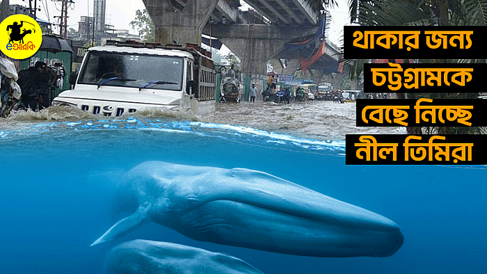 থাকার জন্য চট্টগ্রামকে বেছে নিচ্ছে নীল তিমিরা