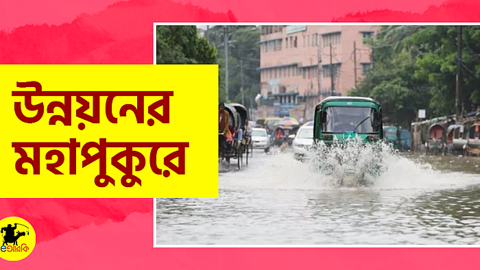 উন্নয়নের মহাপুকুরে