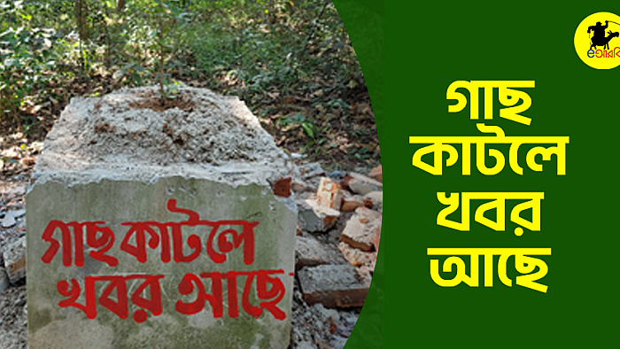 গাছ কাটলে খবর আছে