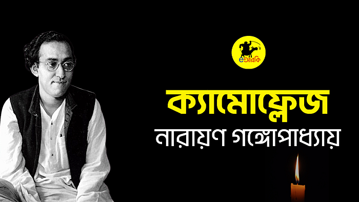 ক্যামোফ্লেজ