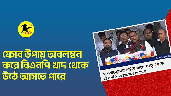 যেসব উপায় অবলম্বন করে বিএনপি খাদ থেকে উঠে আসতে পারে