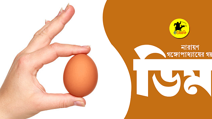 ডিম