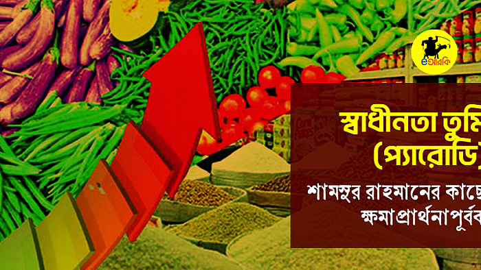 স্বাধীনতা তুমি (প্যারোডি)