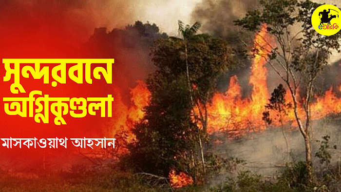 সুন্দরবনে অগ্নিকুণ্ডলা