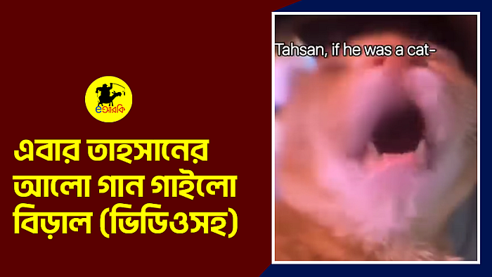এবার তাহসানের আলো গান গাইলো বিড়াল