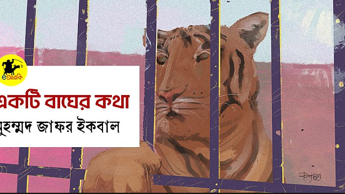 একটি বাঘের কথা