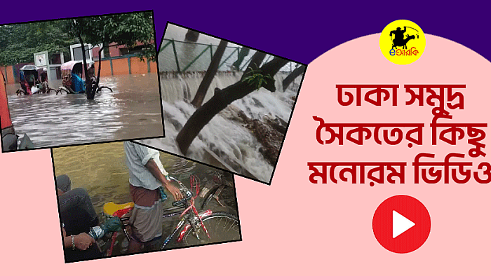 এমন সমুদ্র সৈকত না দেখলে মিস