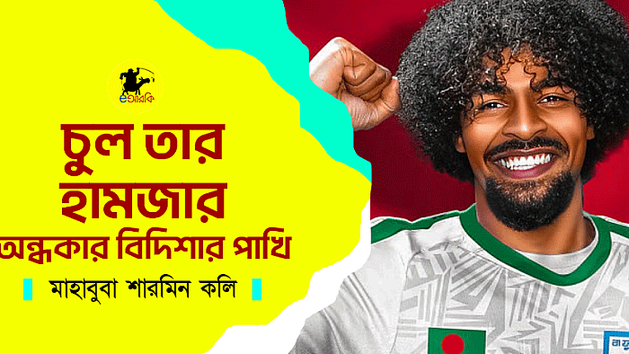 চুল তার হামজার অন্ধকার বিদিশার পাখি