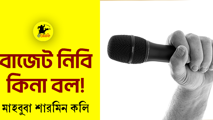 বাজেট নিবি কিনা বল!