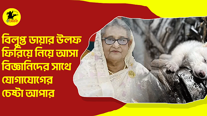 বিলুপ্ত ডায়ার উলফ ফিরিয়ে নিয়ে আসা বিজ্ঞানিদের সাথে যোগাযোগের চেষ্টা আপার